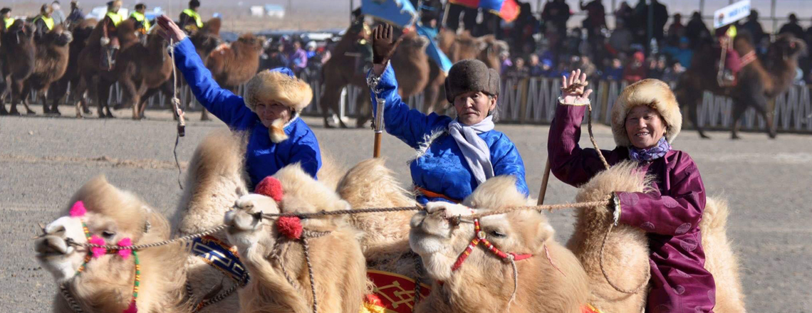 Тэмээний баяр